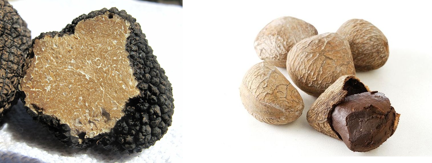 Buah Keluak vs. Truffles: How These Two 